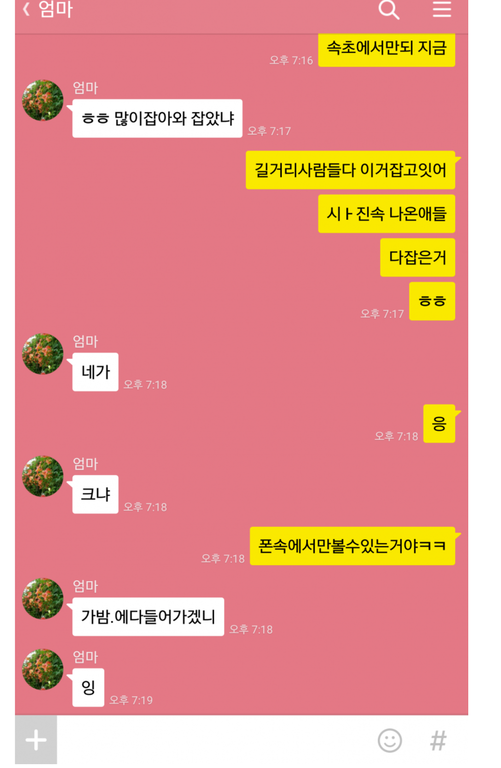 포켓몬 많이 잡아오라는어머니.jpg | 인스티즈