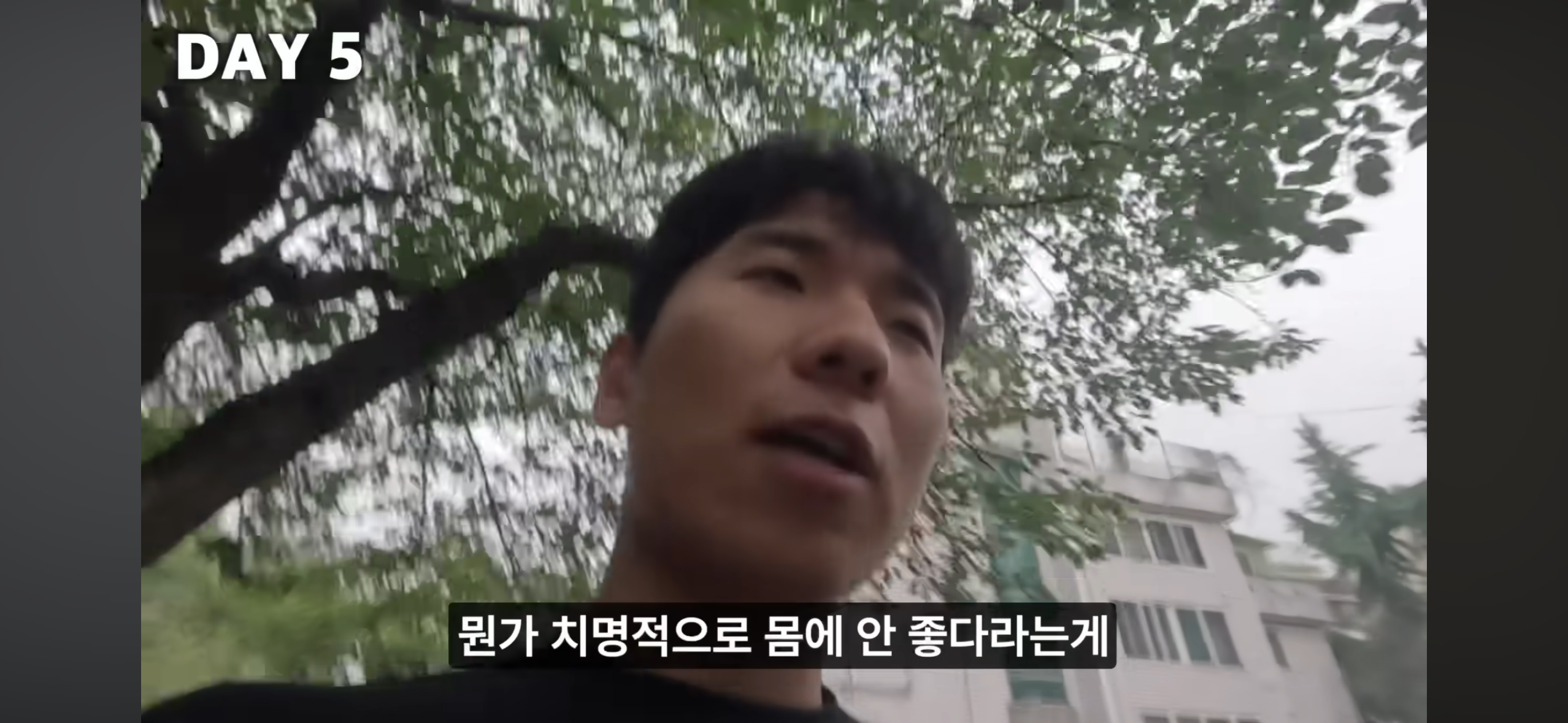 올빼미족이 아닌 사람이 7일간 밤낮 바꿔 살아보기 | 인스티즈
