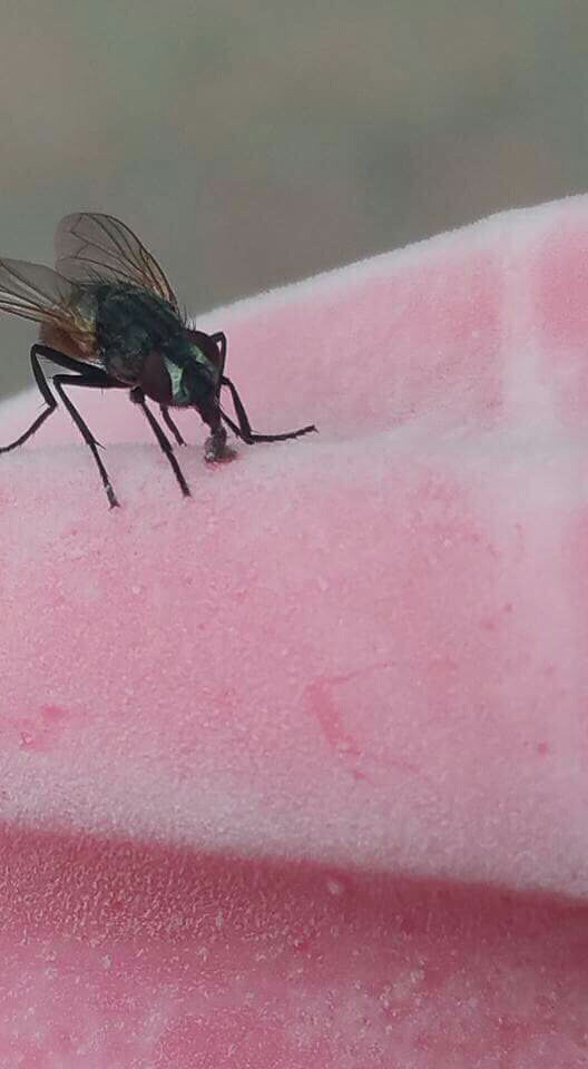 오늘자 파리 대참사..... | 인스티즈