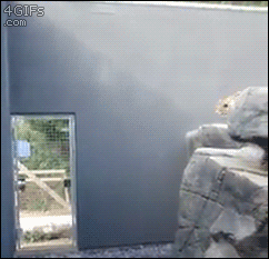 계단이 없넹.gif | 인스티즈