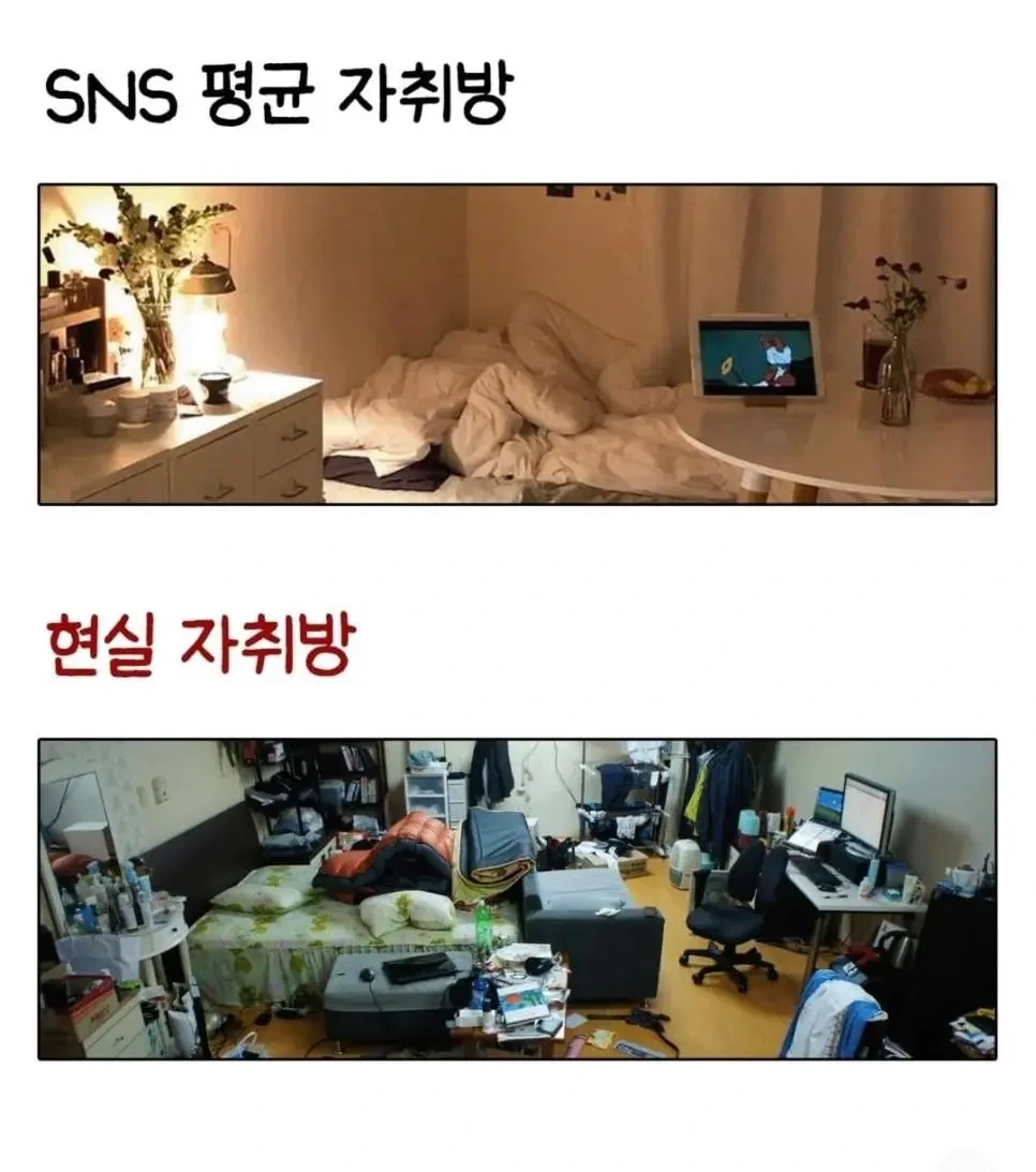 SNS가 망친 평균 vs 실제 평균 | 인스티즈