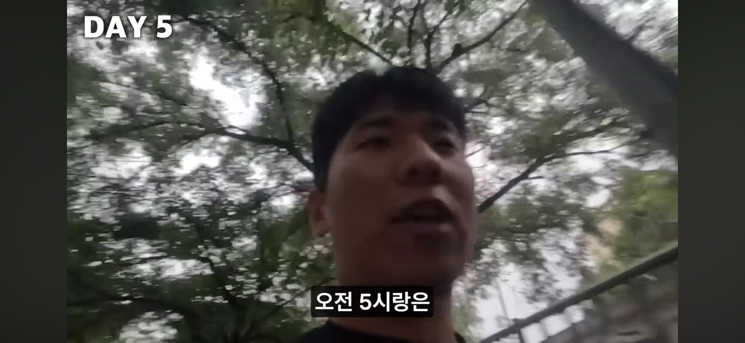 올빼미족이 아닌 사람이 7일간 밤낮 바꿔 살아보기 | 인스티즈