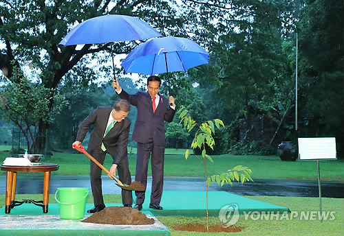 기념식수하며 서로 우산 씌어주는 문재인대통령 조코위도도대통령 | 인스티즈