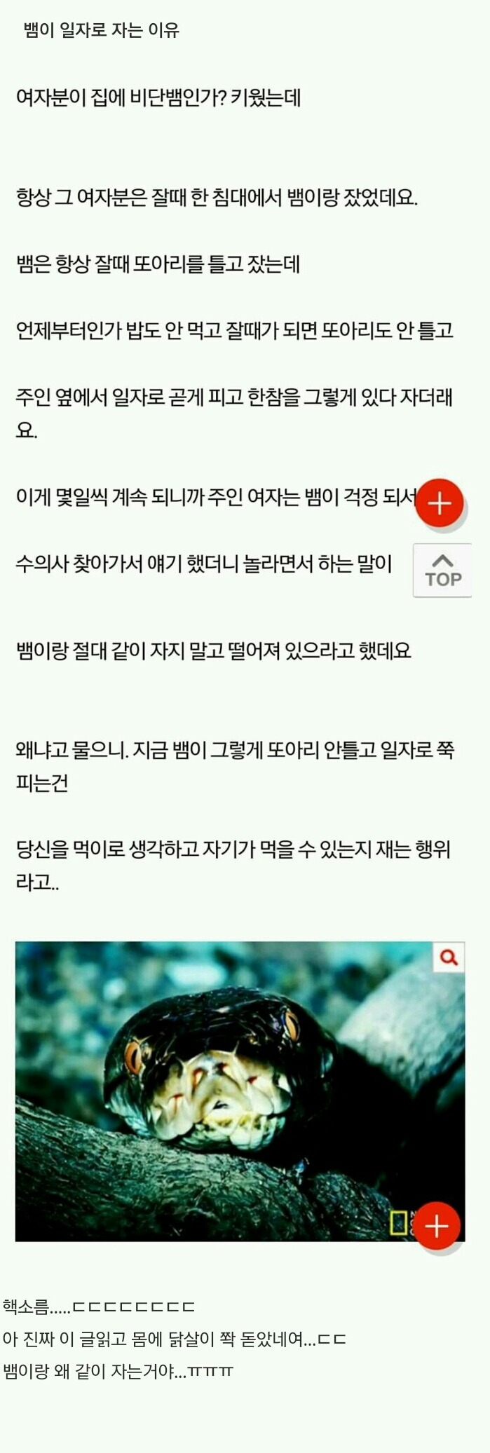 뱀이 일자로 자는이유 | 인스티즈