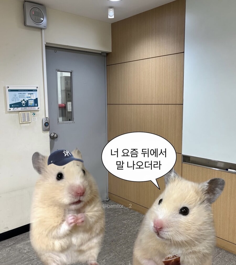 너 요즘 뒤에서 말 나오더라 | 인스티즈