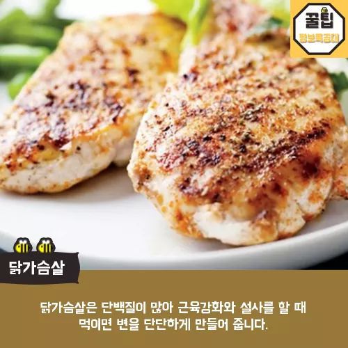 개에게 먹이면 좋은음식 | 인스티즈