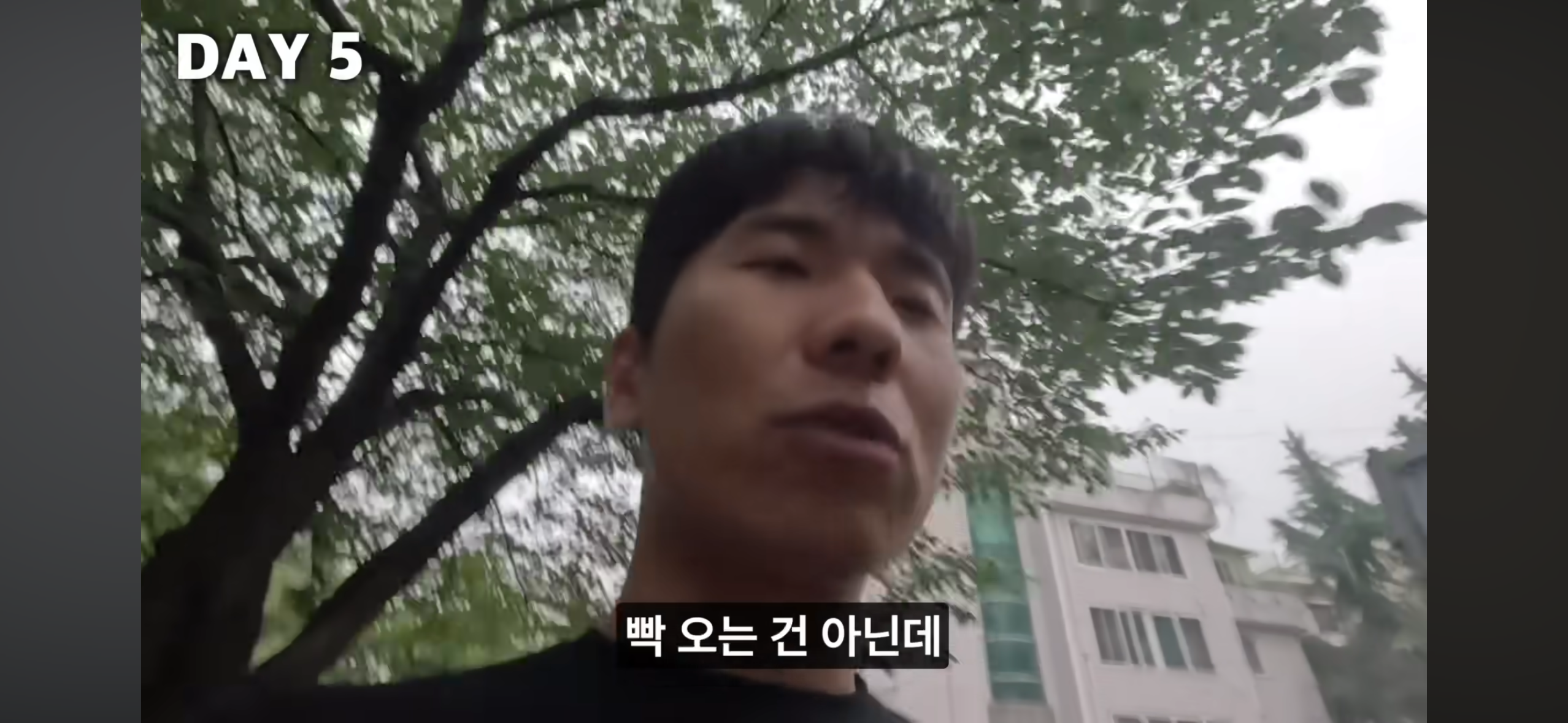 올빼미족이 아닌 사람이 7일간 밤낮 바꿔 살아보기 | 인스티즈