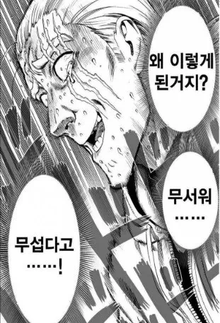 그 누구도 가질 수 없는 섬 이야기 | 인스티즈