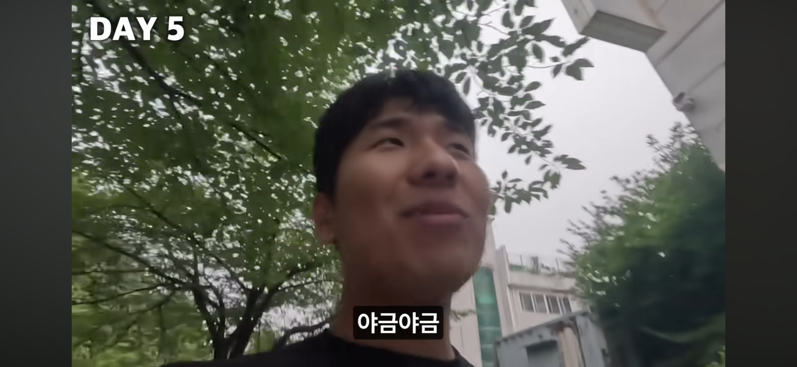 올빼미족이 아닌 사람이 7일간 밤낮 바꿔 살아보기 | 인스티즈