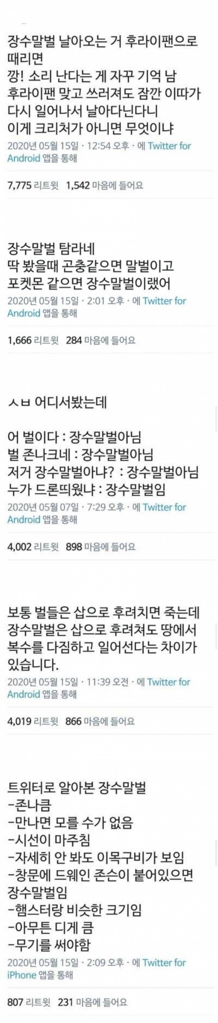 예능에 나온 장수말벌 실물.jpgif | 인스티즈