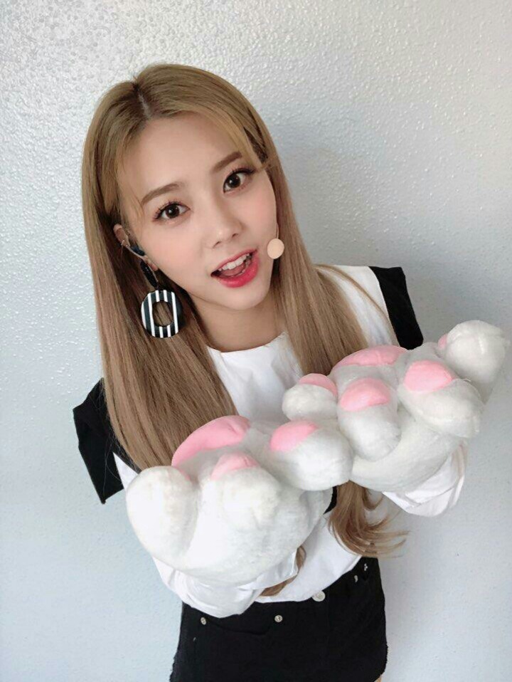 다이아 권은채 | 인스티즈