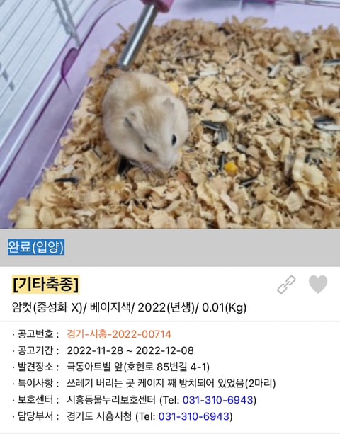 포인핸드 강아지 고양이 동물들 근황.jpg (귀여움 주의) | 인스티즈
