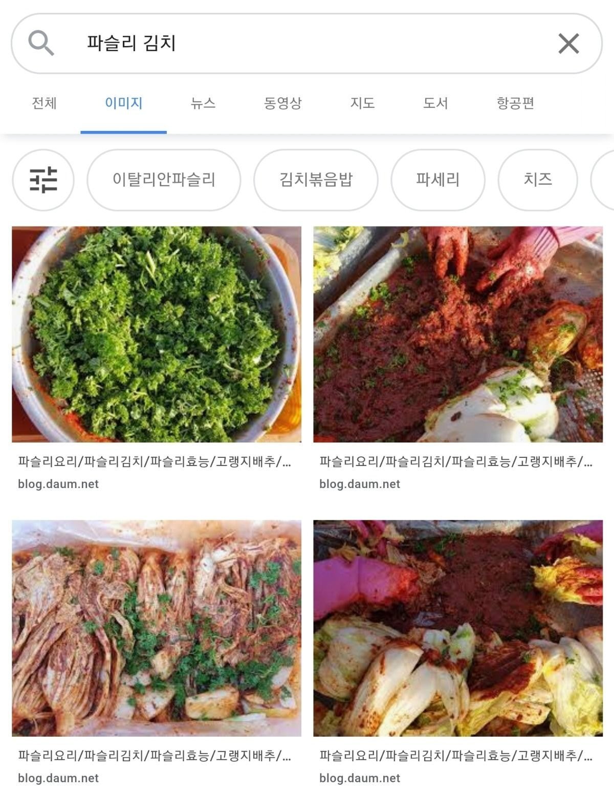 김치 전문가도 이길 수 없는 게임.jpg | 인스티즈