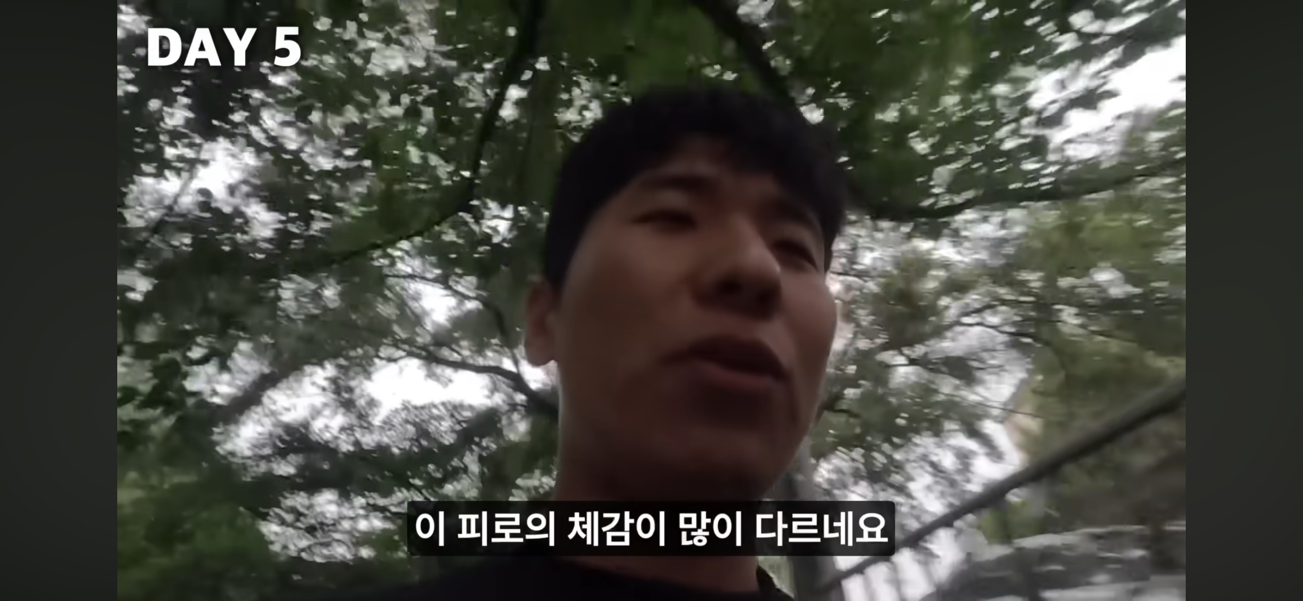 올빼미족이 아닌 사람이 7일간 밤낮 바꿔 살아보기 | 인스티즈