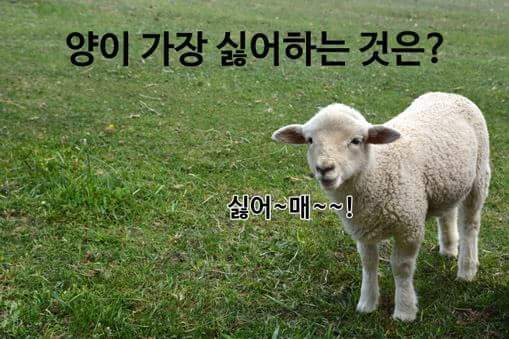 자 아재개그 훅!!들어가요 | 인스티즈