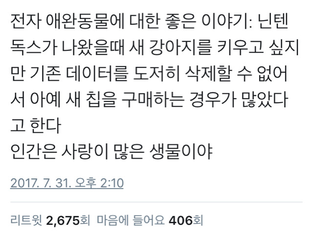 사이버 애완동물에 대한 좋은 이야기 | 인스티즈
