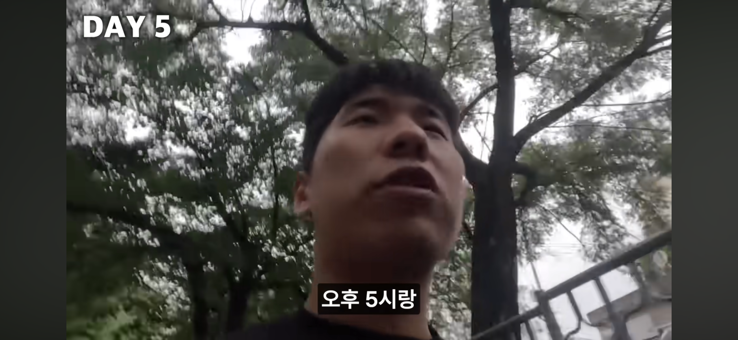 올빼미족이 아닌 사람이 7일간 밤낮 바꿔 살아보기 | 인스티즈