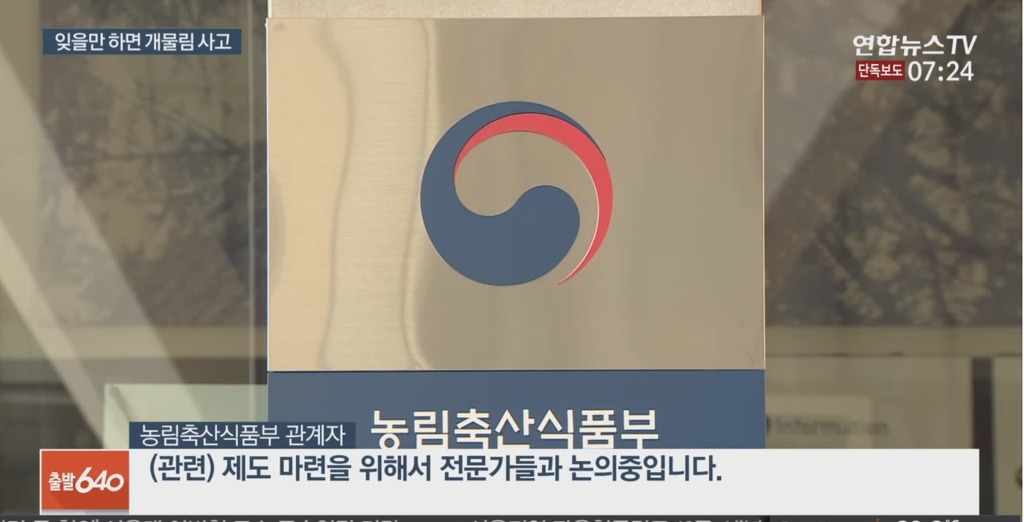 입마개 안한 로트와일러가 지나가는 행인과 강아지 공격해 강아지 15초만에 죽임 | 인스티즈
