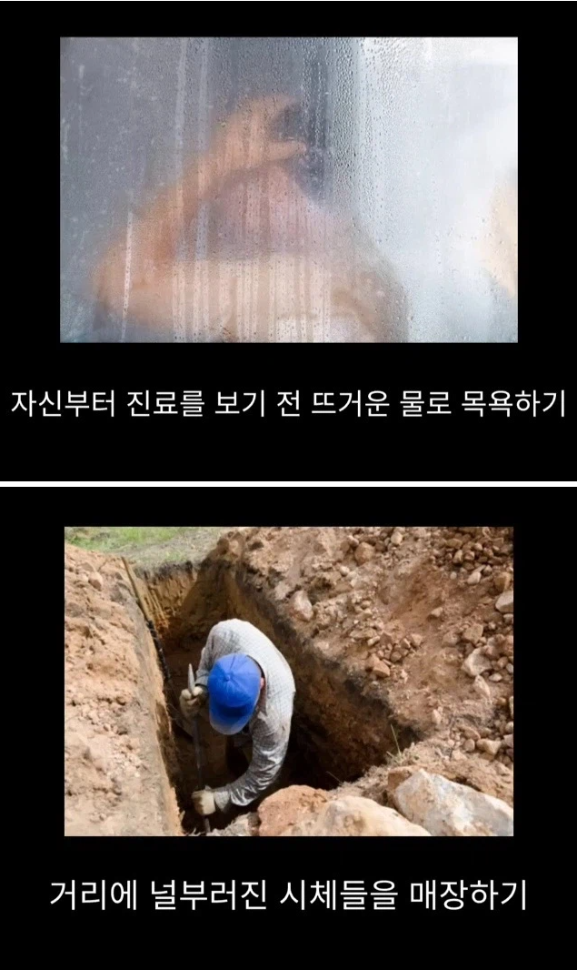 프랑스 남부에서 흑사병을 퇴치하여 왕실 의사가 된 사람 | 인스티즈