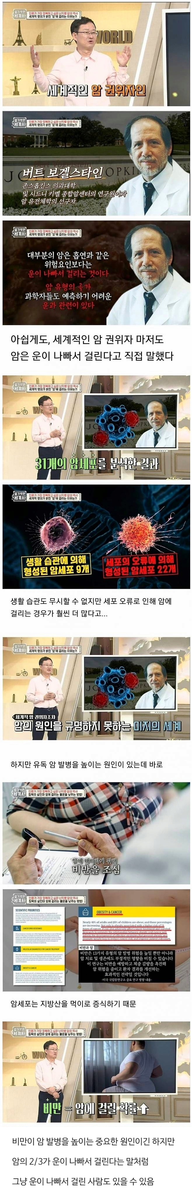 존스홉킨스 의대 세계적인 암 전문가가 말하는 암에 걸리는 원인.jpg | 인스티즈