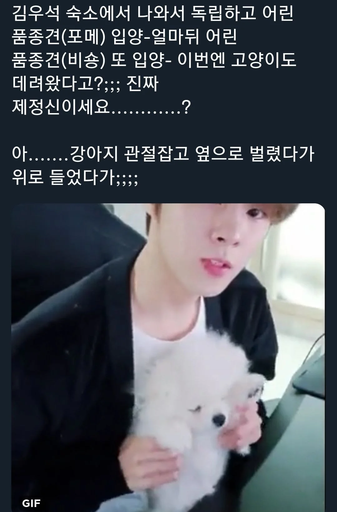 현재 동물학대 아니냐고 말나오는 아이돌 | 인스티즈