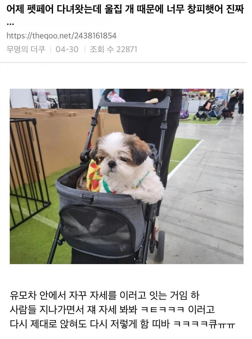 펫 페어 다녀왔는데 울집 개 때문에 너무 창피했어 | 인스티즈