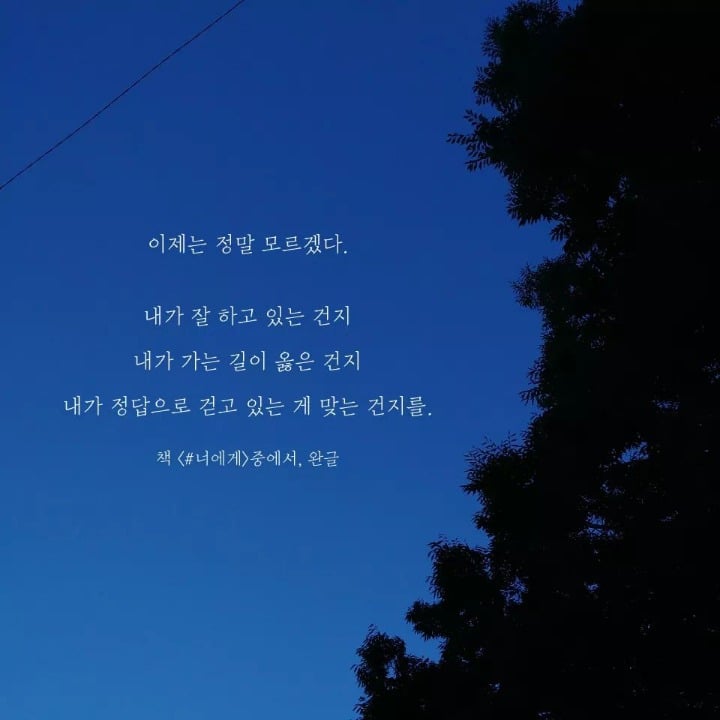 일상에 지친 사람이 읽었으면 하는 글 | 인스티즈