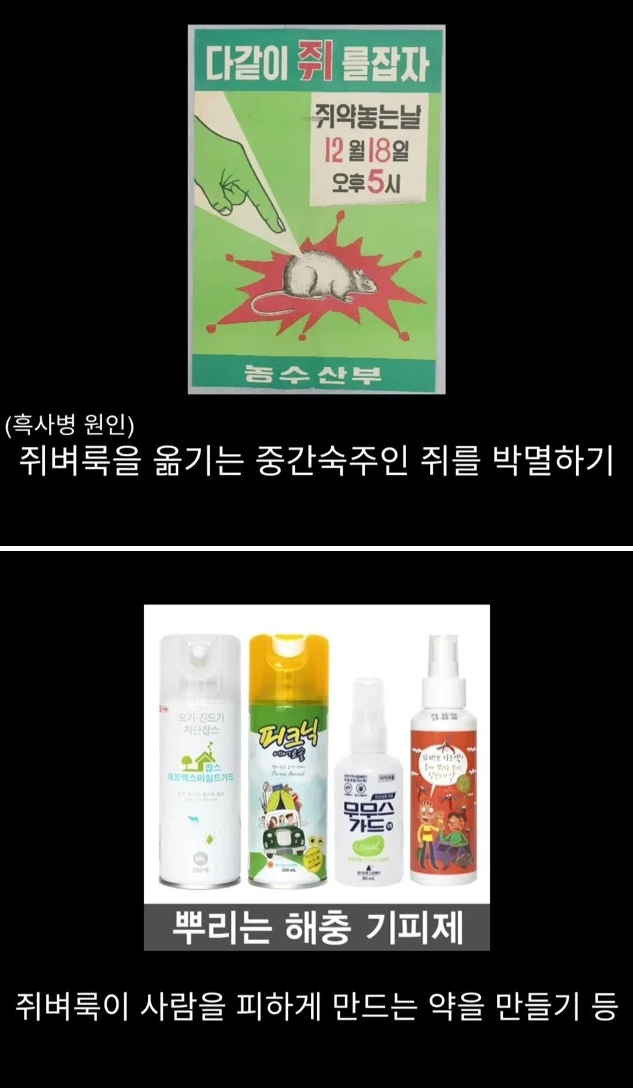프랑스 남부에서 흑사병을 퇴치하여 왕실 의사가 된 사람 | 인스티즈