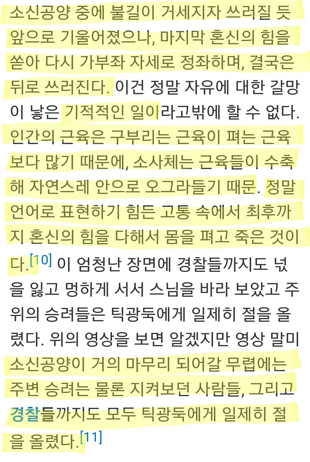 불교탄압에 저항하며 스스로의 몸을 불로 태운 베트남 스님 (사진주의) | 인스티즈
