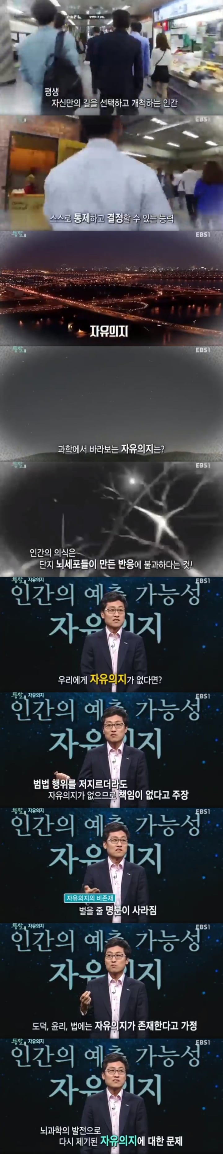 인간에게 자유의지가 없다고 믿은 아인슈타인(뇌과학이 보는 자유의지의 존재 가능성) | 인스티즈
