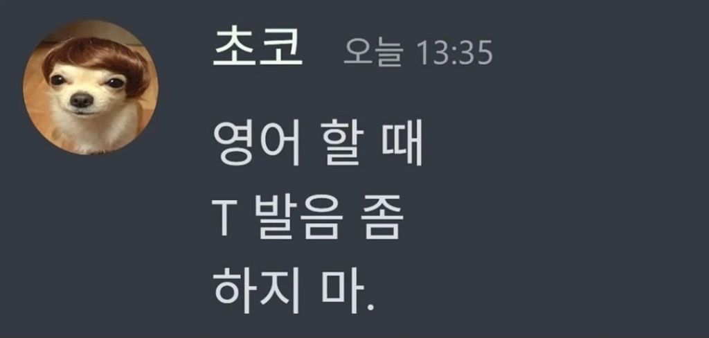 영어 할때 T 발음 좀 하지마 | 인스티즈