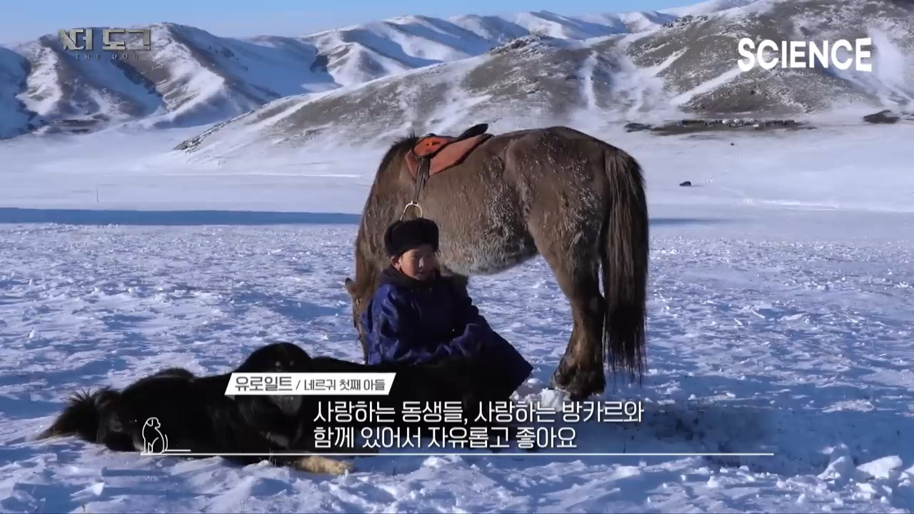 -30도 겨울에 태어나는 몽골 강아지 -하- | 인스티즈