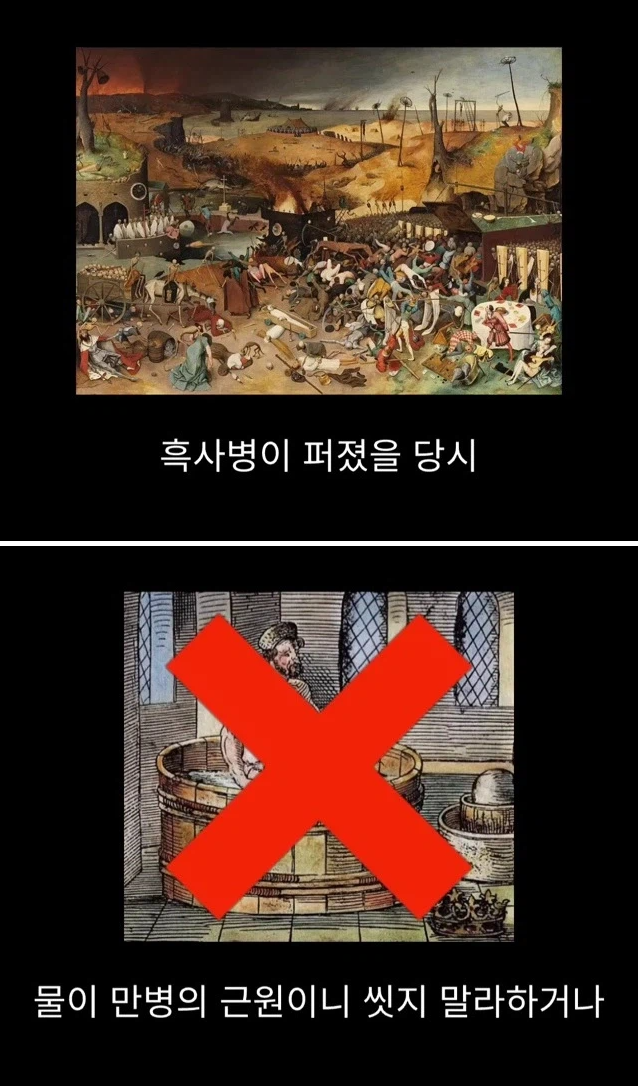 프랑스 남부에서 흑사병을 퇴치하여 왕실 의사가 된 사람 | 인스티즈