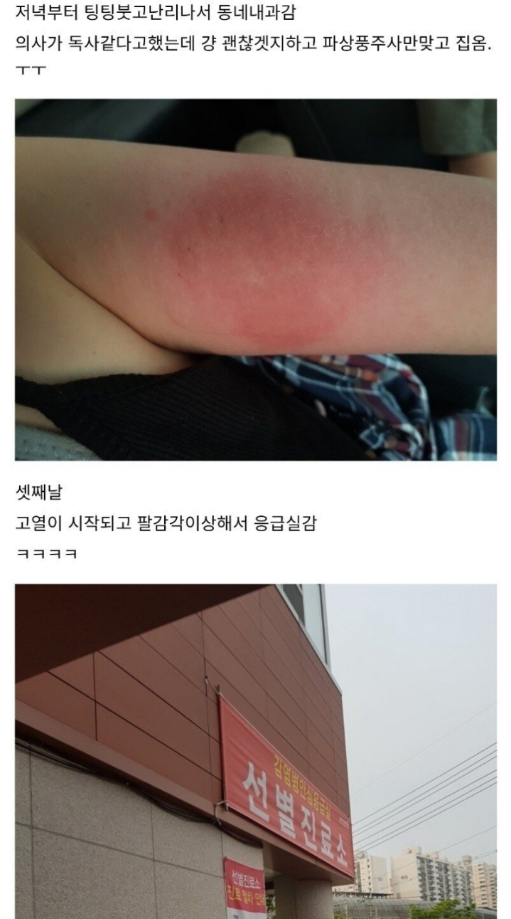 산책하다가 독사에게 물린 디시인 후기.jpg | 인스티즈