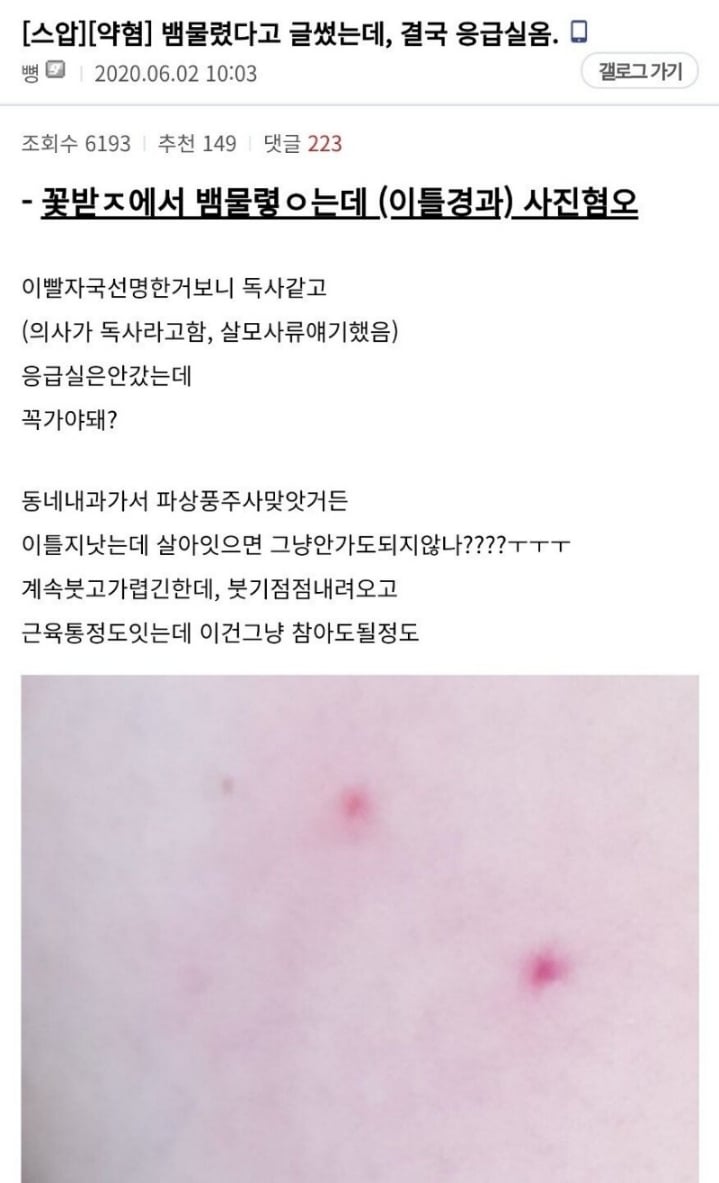 산책하다가 독사에게 물린 디시인 후기.jpg | 인스티즈