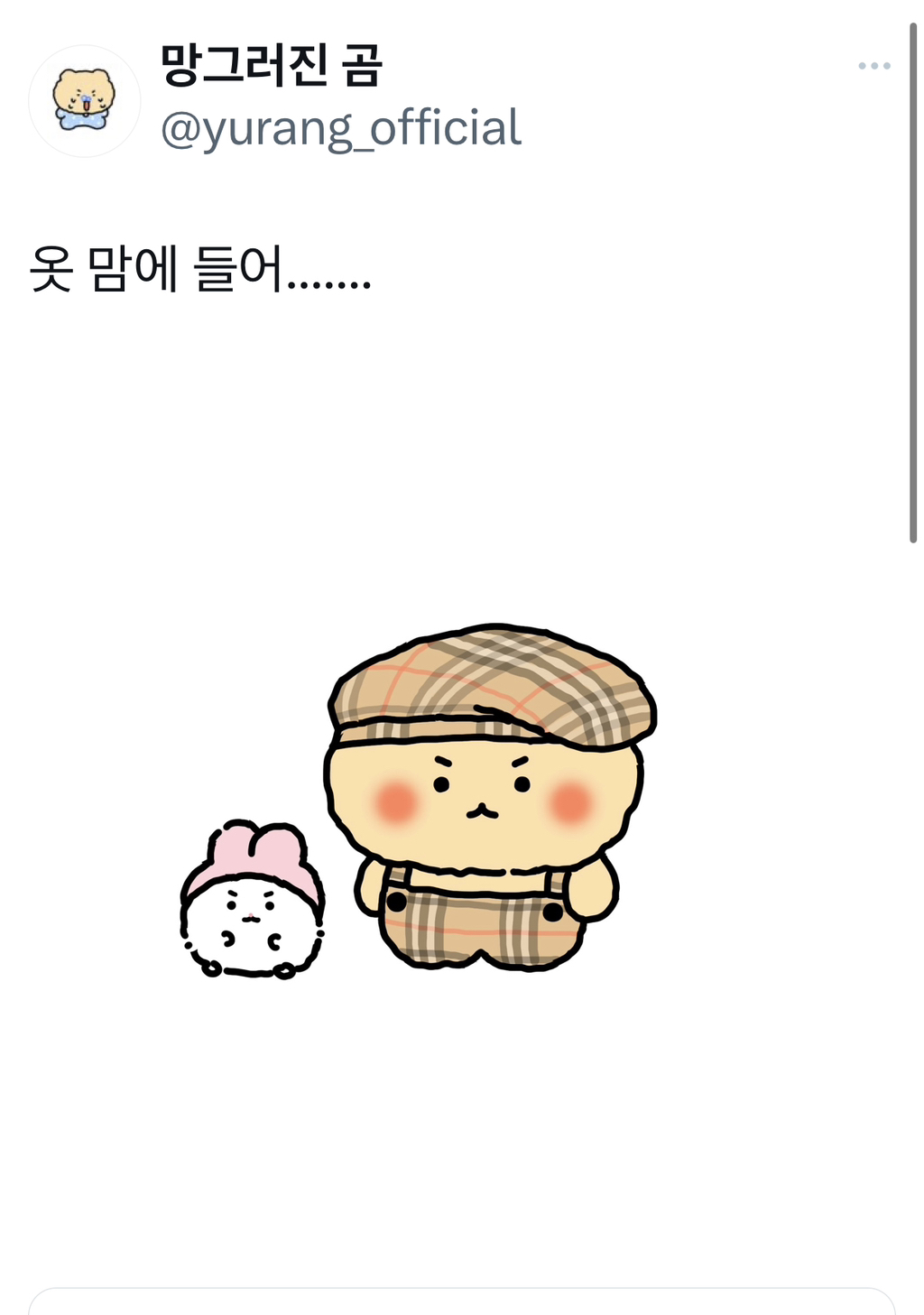 아트박스에서 망곰이한테 왠지 잘어울리는 옷 샀는데 개찰떡임.twt | 인스티즈
