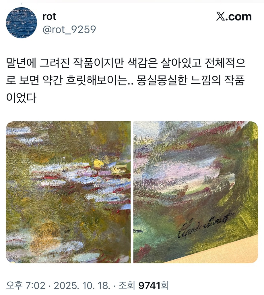 국립현대미술관 과천 MMCA 해외 명작 : 수련과 샹들리에 전시 후기.twt | 인스티즈