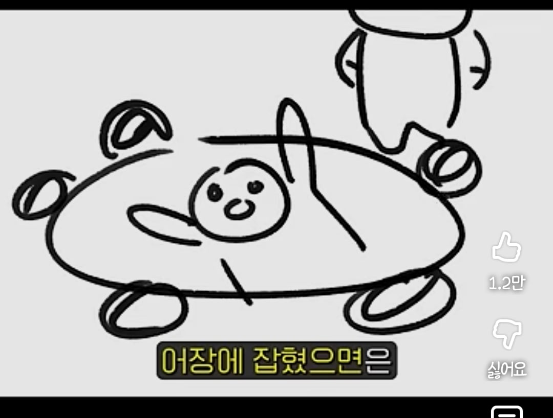 어장관리인지 알아보는 법 | 인스티즈