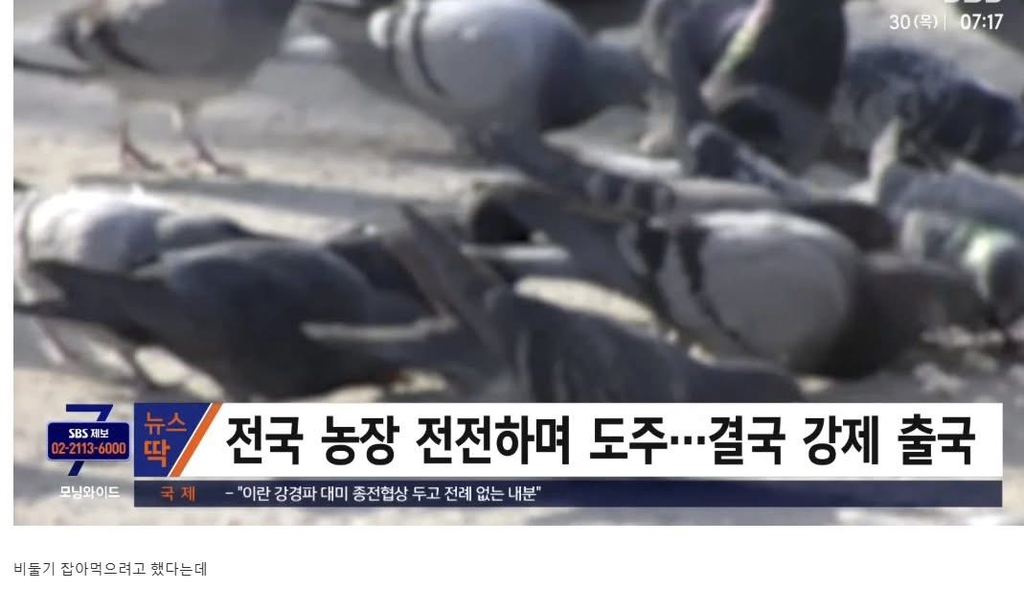 불법체류자 태국인이 만든 것 | 인스티즈