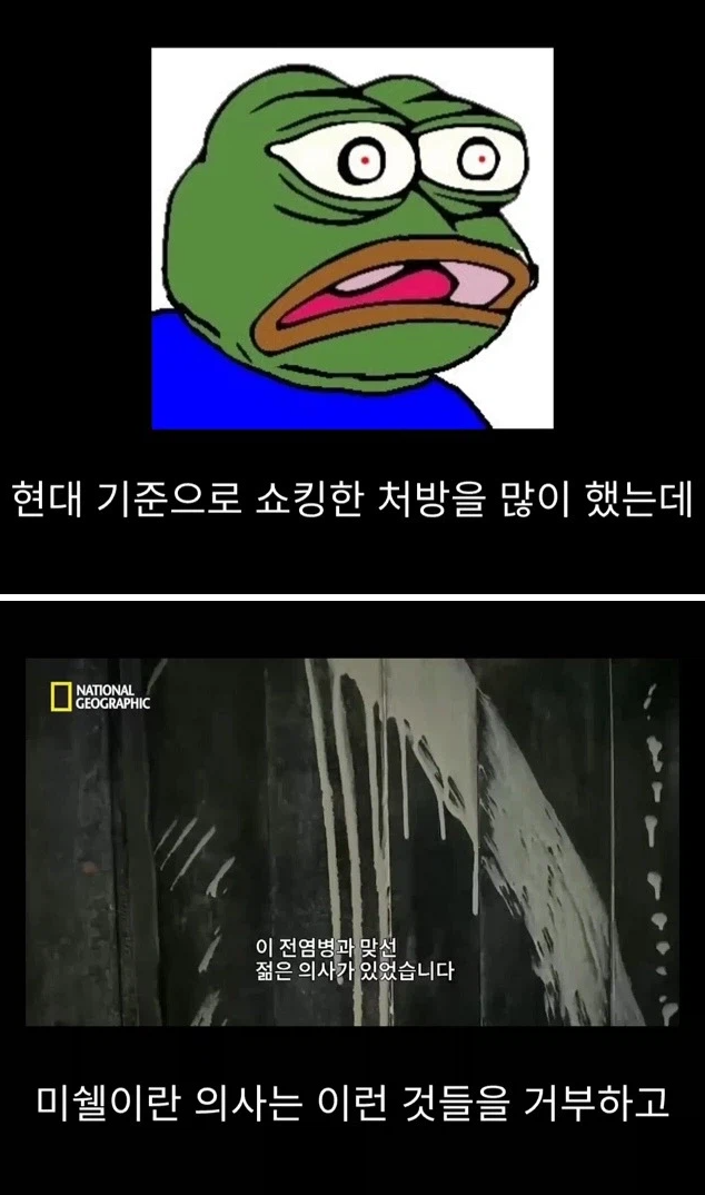 프랑스 남부에서 흑사병을 퇴치하여 왕실 의사가 된 사람 | 인스티즈