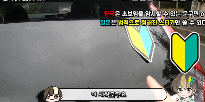 이건 따라했으면 하는 일본의 '초보운전' 제도 | 인스티즈