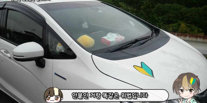 이건 따라했으면 하는 일본의 '초보운전' 제도 | 인스티즈