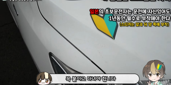 이건 따라했으면 하는 일본의 '초보운전' 제도 | 인스티즈