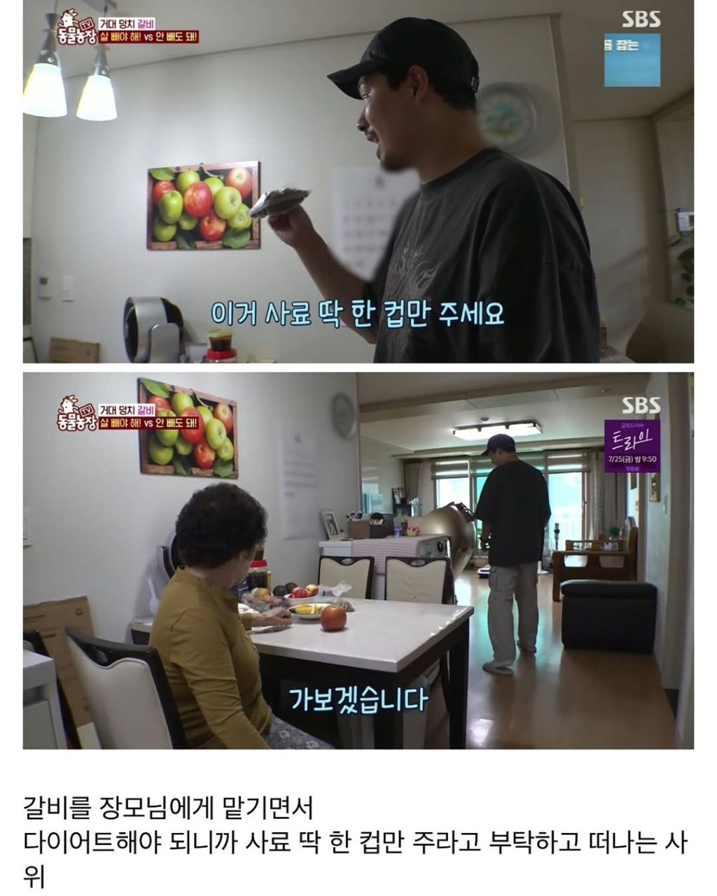 할머니한테 개 맡기면 안되는 이유 | 인스티즈