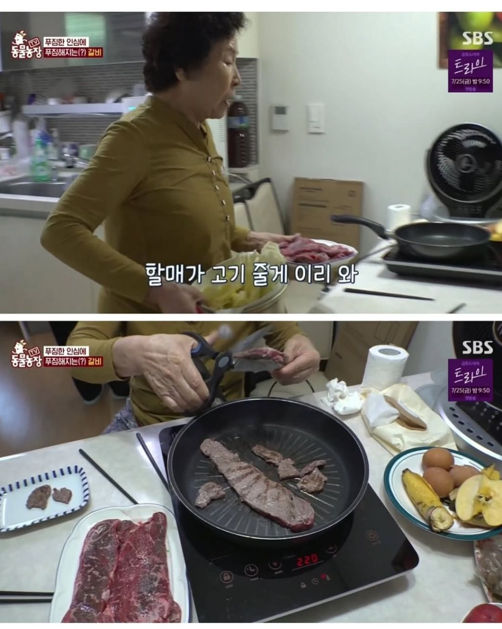 할머니한테 개 맡기면 안되는 이유 | 인스티즈