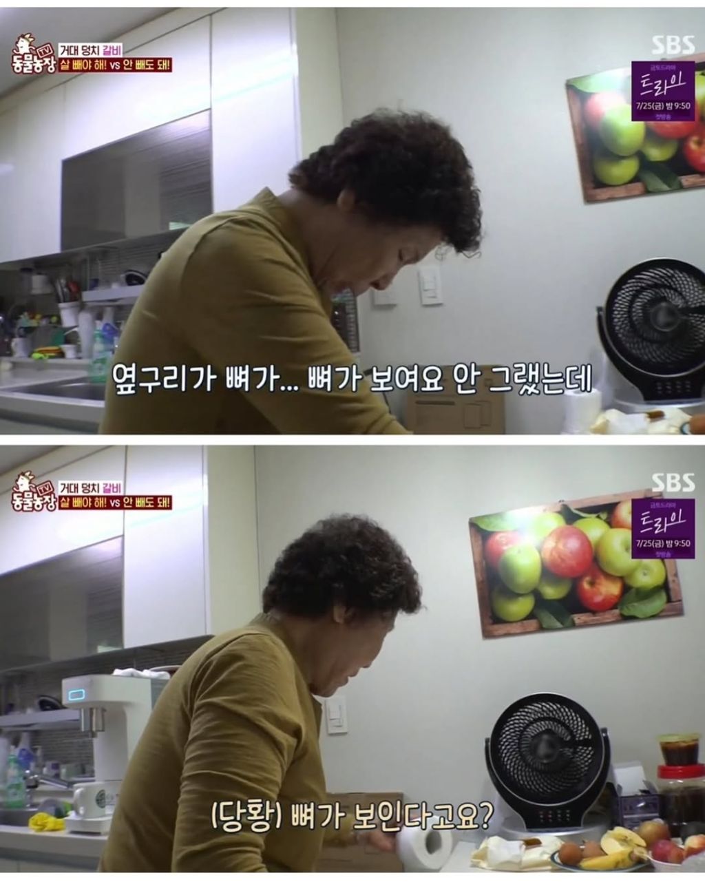 할머니한테 개 맡기면 안되는 이유 | 인스티즈