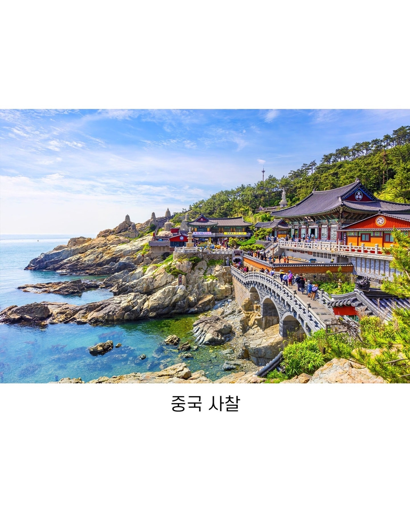 외국인들이 부산 오면 환장하는 이유.jpg | 인스티즈
