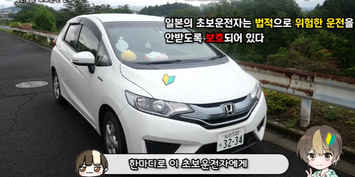이건 따라했으면 하는 일본의 '초보운전' 제도 | 인스티즈