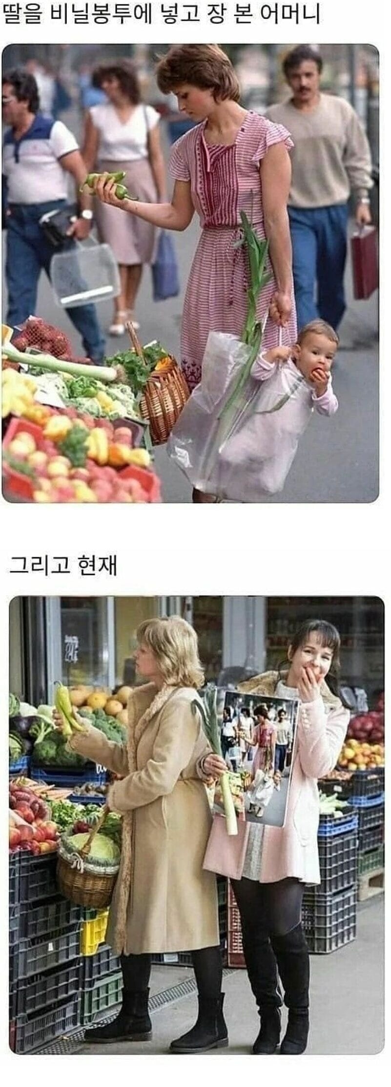 딸을 비닐봉투에 넣고 장 보는 어머니 | 인스티즈