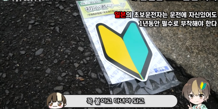 이건 따라했으면 하는 일본의 '초보운전' 제도 | 인스티즈